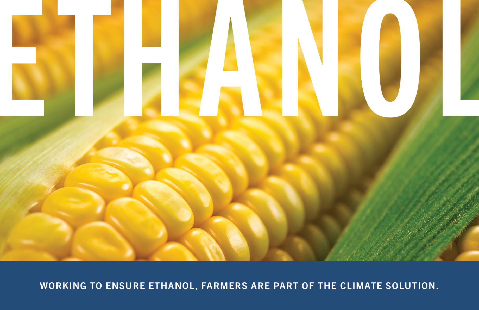 American Coalition for Ethanol brand identity | Insight Marketing Design Portfolio